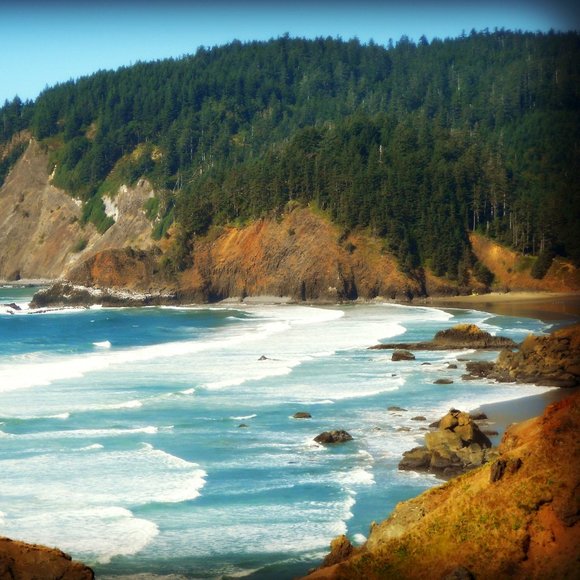 Meet your Posher, Shirley - Picture 15 of 16